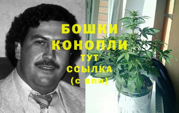спиды Покровск
